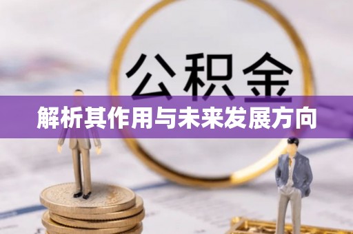 瓯海解析其作用与未来发展方向